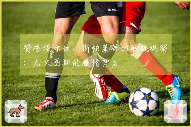 赞誉埃尔坎，斯帕莱蒂的敏锐观察：尤文图斯的激情背后