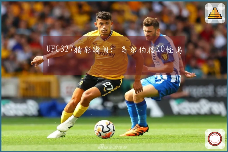 UFC327精彩瞬间：乌尔伯格KO怪鸟！