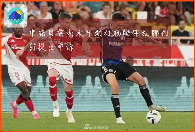 申花目前尚未计划对杨皓宇红牌判罚提出申诉