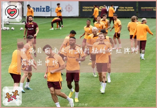 申花目前尚未计划对杨皓宇红牌判罚提出申诉